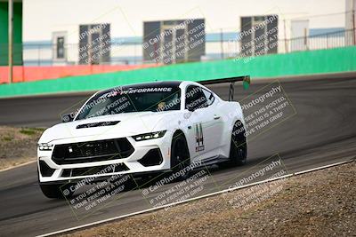 media/Feb-25-2024-Speed Ventures (Sun) [[b9a2a97a4d]]/Mustang Drivers Club/Session 1 (Turns 4 and 5)/
